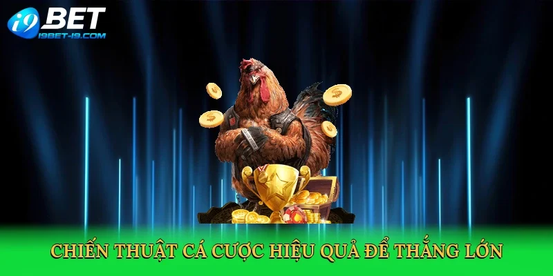 Chiến thuật cá cược hiệu quả để thắng lớn