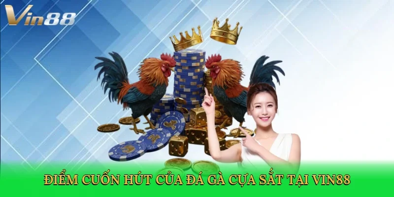diem-cuon-hut-cua-da-ga-cua-sat-tai-vin88-3