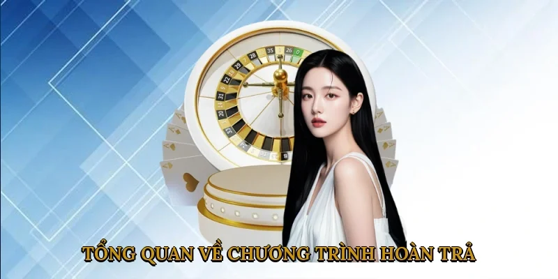 Tổng Quan Về Chương Trình Hoàn Trả