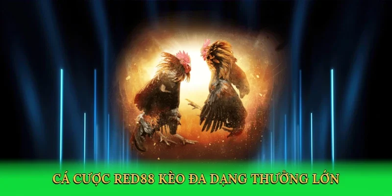 Cá cược Red88 kèo đa dạng thưởng lớn