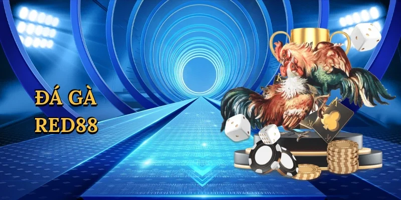 Đá gà Red88